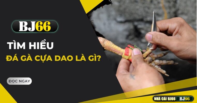da ga cua dao bj66