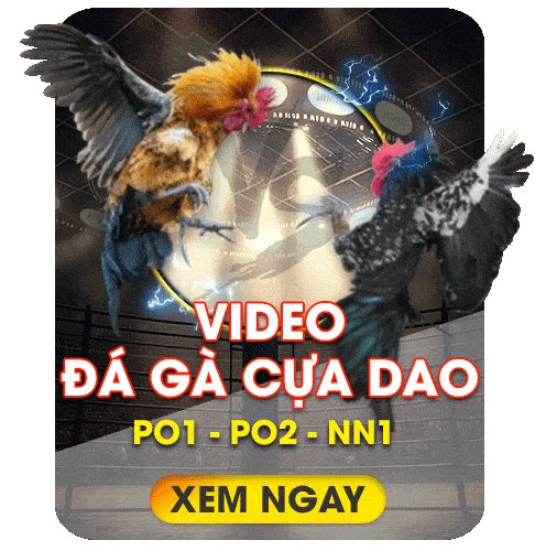 da ga cua dao bj66