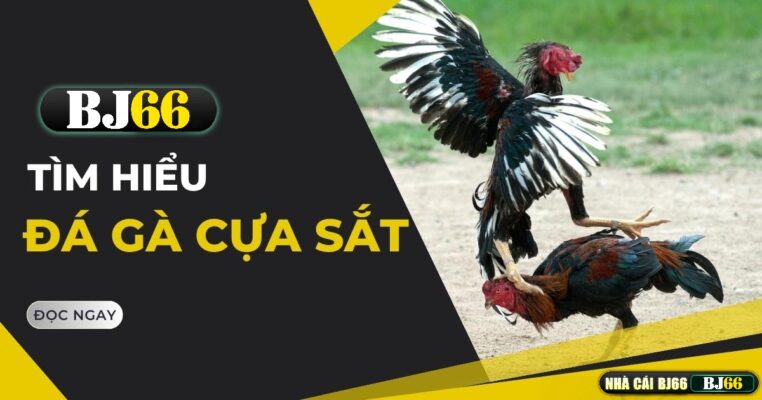 da ga cua sat bj66
