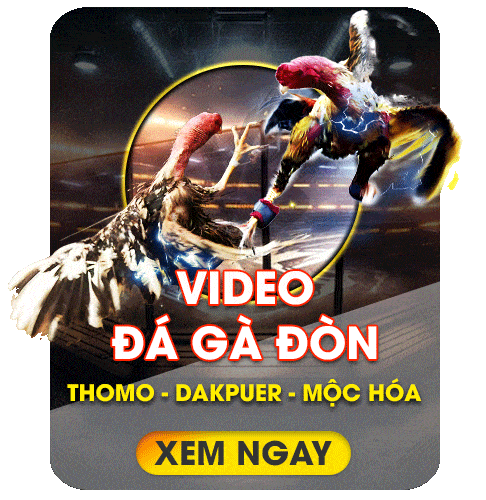 da ga don bj66