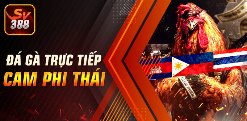 nhung thong tin ve sv388